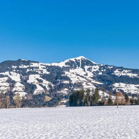Haus Idylle Am Berg Nyaraló Hopfgarten im Brixental